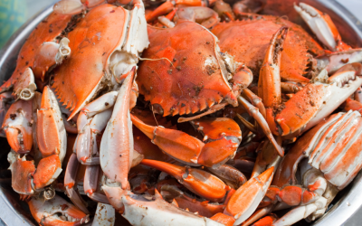 5 Maryland Crab Houses to Visit This Summer